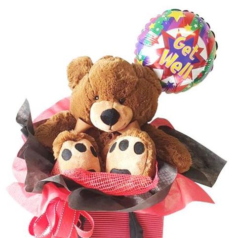 teddy bear get well soon gift basket for hospital auckland, 
