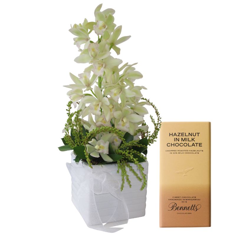 Elegant Orchid Arrangement and Chocolate  – Weekly Flowers Special Best Blooms Auckland, Elegant Orchid & Hazelnut Chocolate