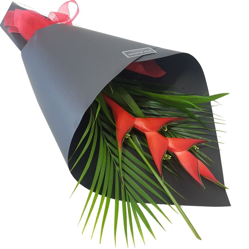 red heliconia flower gift wrapped in black paper