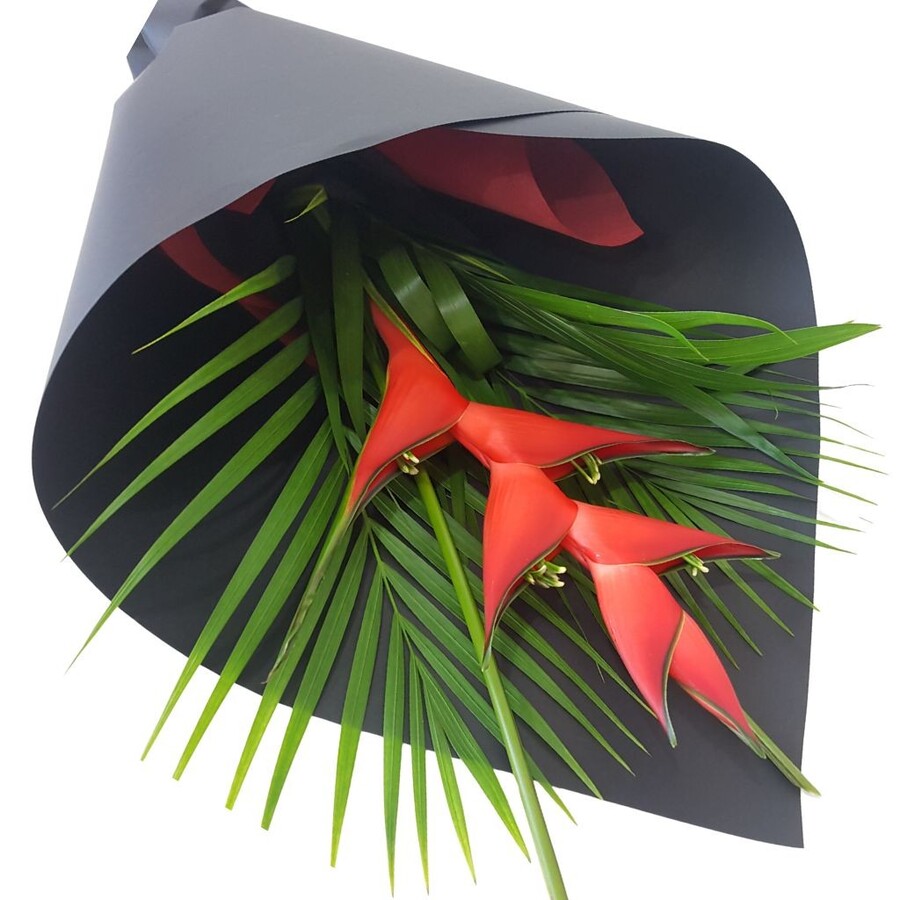 gift wrapped tropical heliconia and greenery