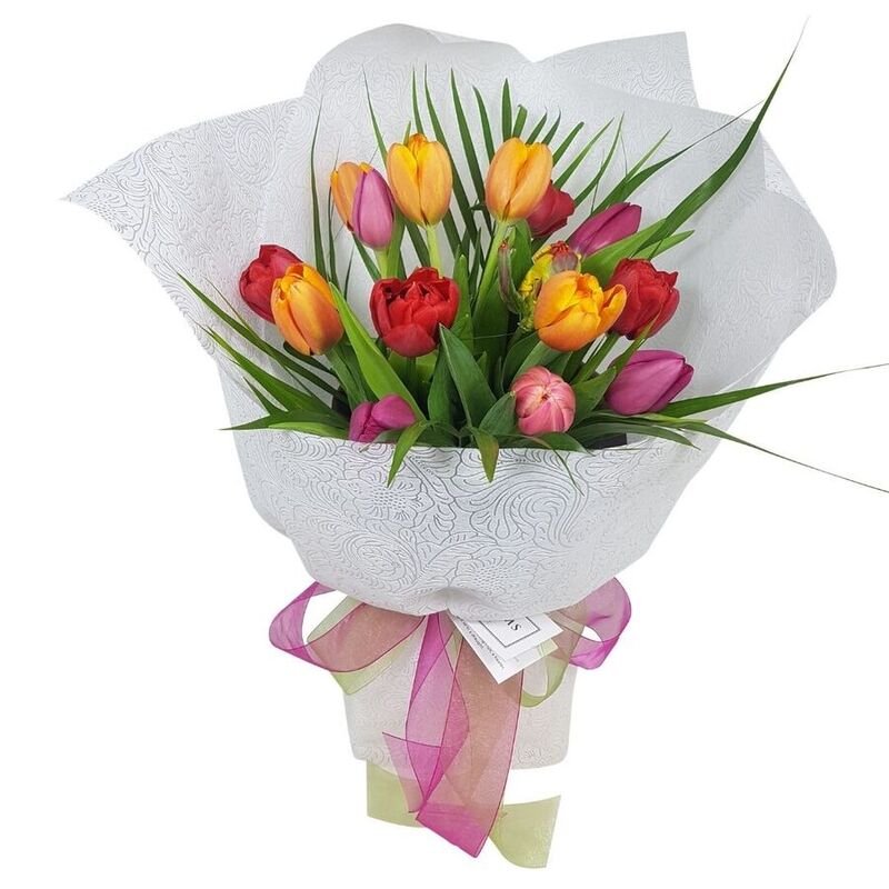 Tulips%20Auckland.%20Mixed%20colour%20Tulips%20wrapped%20in%20white%20paper%20and%20ribbon.