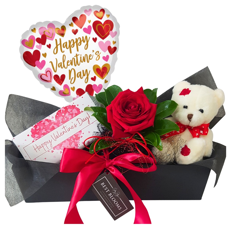 Valentine's Day Gift Box Teddy, Red Rose, Valentines Chocolate Bar, 