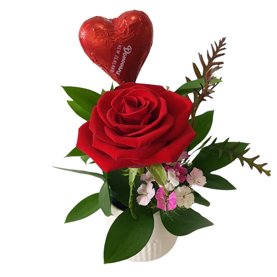 Single Red Rose in a White Ceramic Pot with Milk Chocolate Heart