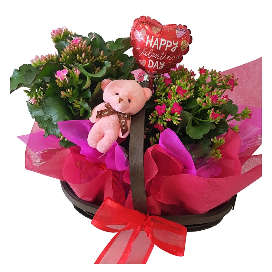 Side view of Valentines plant basket, in pinks and reds.