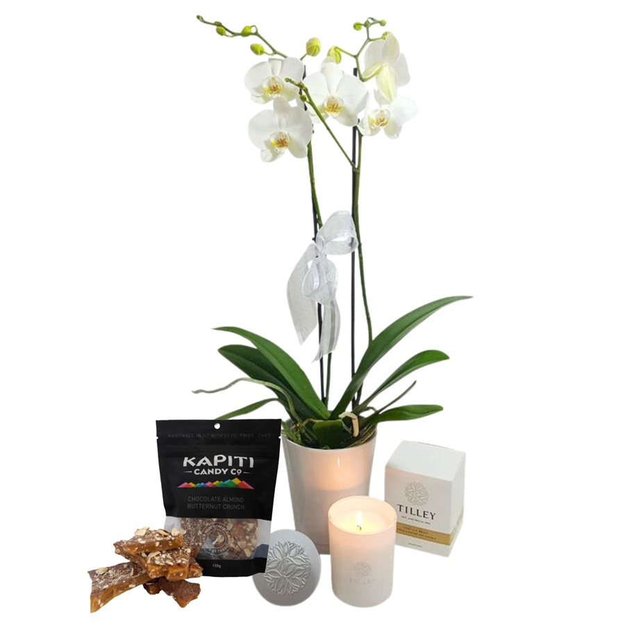 Neutral Plant Home Decor Gift Box Auckland