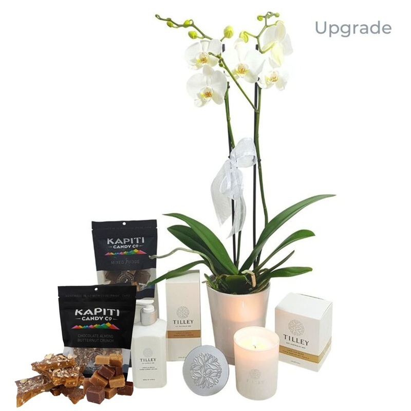 White Orchid Plant Gift Box with Candle and NZ Chocolates.