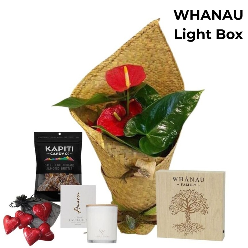 Standard Whanau Anthurium Plant Gift Box