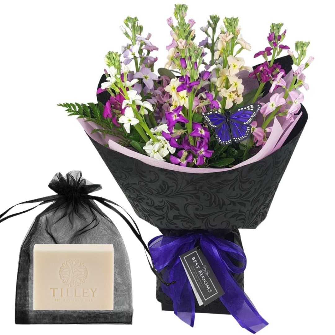 Butterfly Stock Bouquet – Weekly Flowers Special Best Blooms Auckland, Butterfly Stock Bouquet