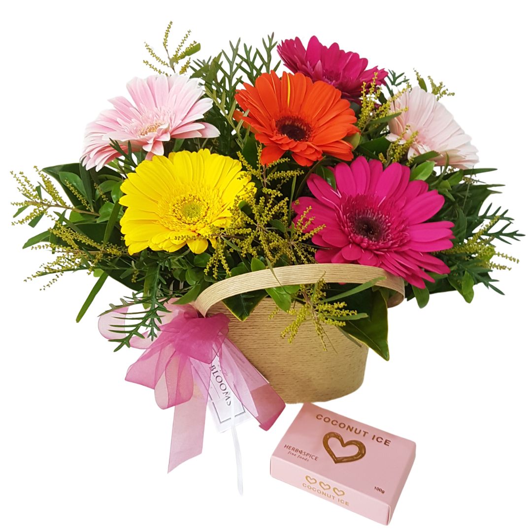 Cheerful Gerbera Flower Basket  – Weekly Flowers Special Best Blooms Auckland, Bright Gerbera Basket