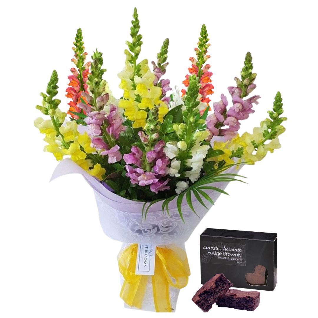 Colourful Snapdragons Bouquet – Weekly Flowers Special Best Blooms Auckland, Colourful Snapdragons