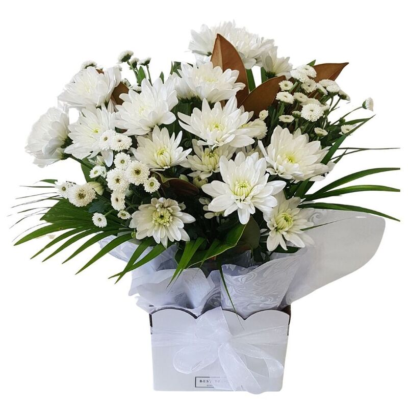 Vase of White Chrysanthemums and Santini Flowers. Presented in White Gift Box with Ribbon.