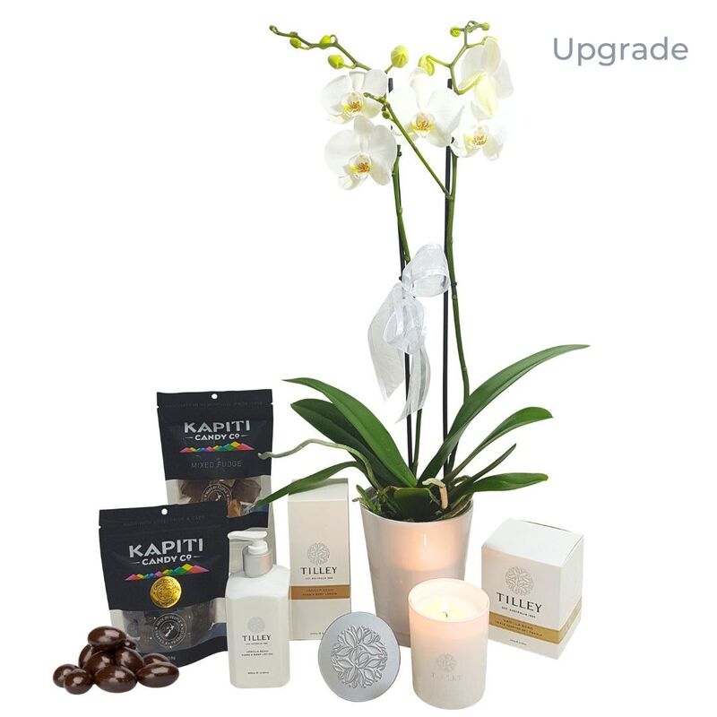 Indoor Plant and Vanilla Candle Gift Set Auckland