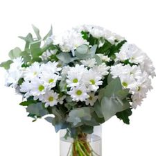 Daisy is the birth flower for April