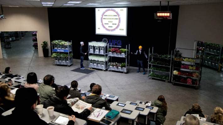 Auckland Florists buying flowers at the UFG Auckland Flower Auctions NZ