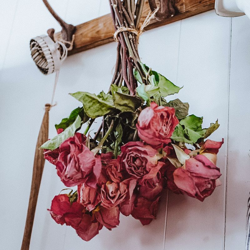 How to dry roses
