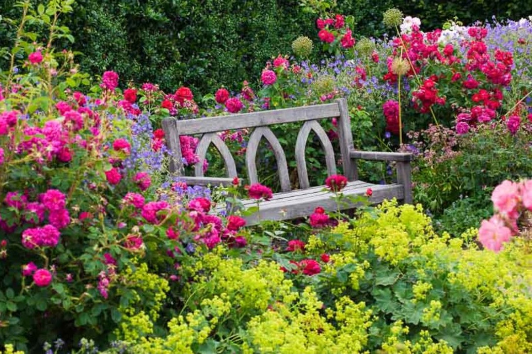 Beautiful fragrant cottage garden setting
