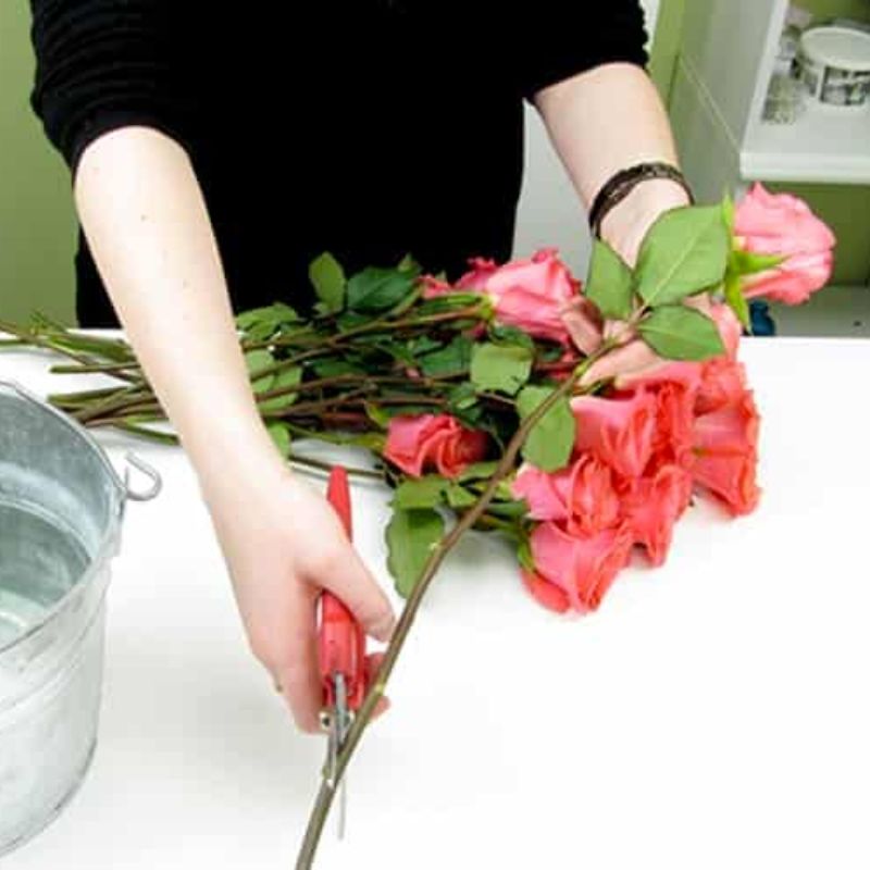 How to care for your roses in a vase