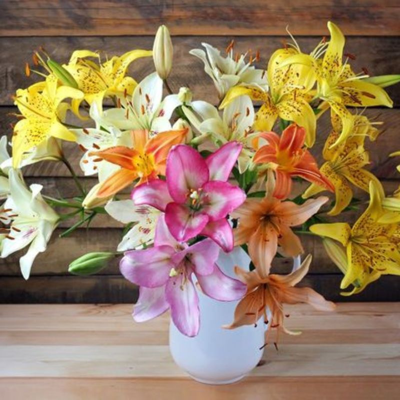 Lily flower symbolism guide