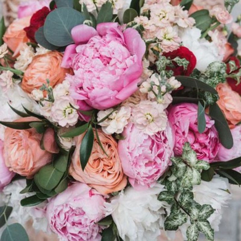 Peony flower guide