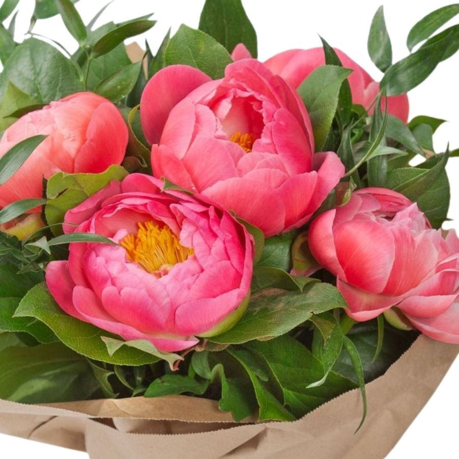 Five Coral Charm Pink Peonies with Foliage