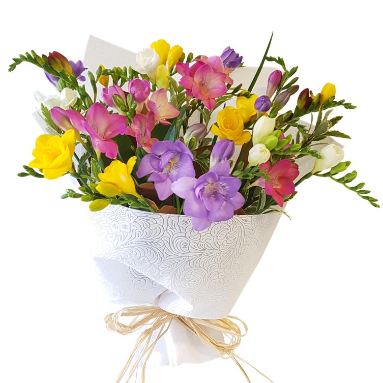 fresh cut freesias in a bouquet of mixed colour freesia flowers white wrapping
