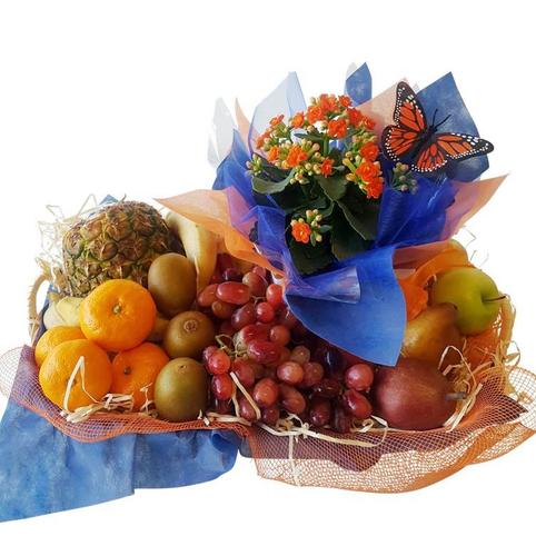 Fresh fruit and plant gift basket, 