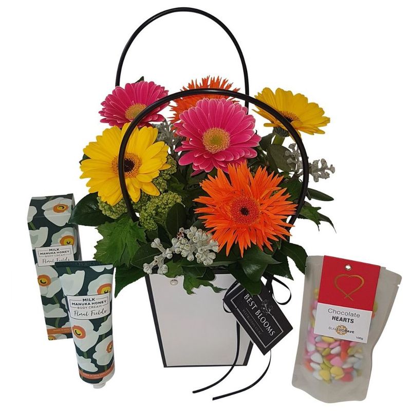 bright colourful gerberas in gift set with chocolate macadamia nuts, 