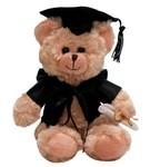 Graduation Teddy Bear Auckland NZ.