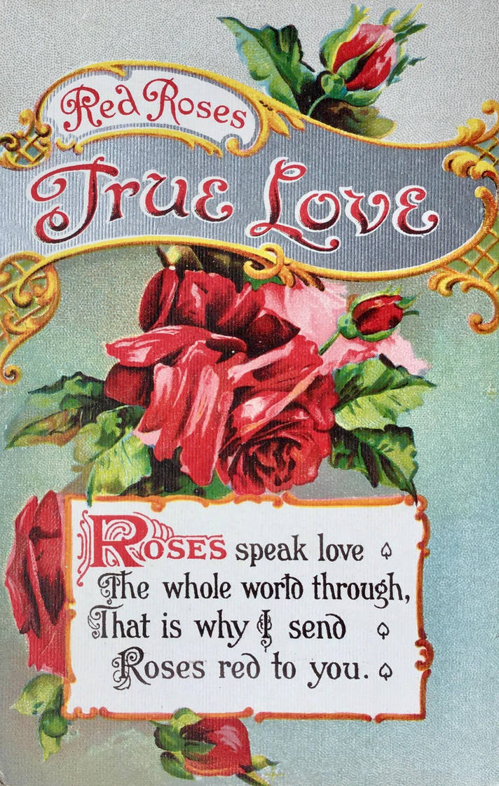 Where did the meanings of rose colours come from?