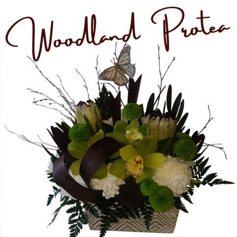 This Week's Special weekly special flowers Auckland