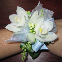 photo of a cymbidium orchid wrist coursage for ball with blue and turquoise accesories