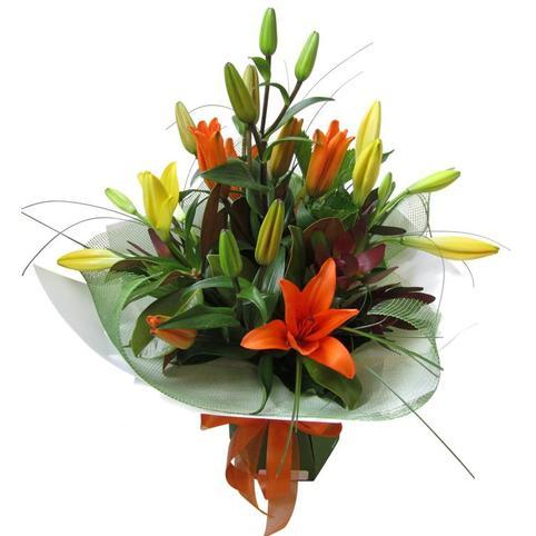 Seasonal Choice Wrap Cheap Flowers Auckland