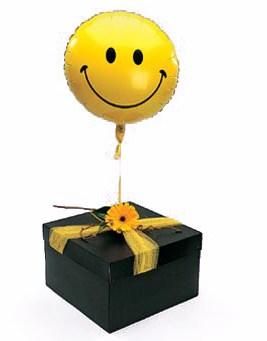 Balloon in a Box Helium Balloon in Box Auckland