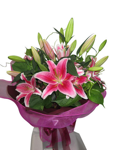 pink lily bouquet auckland showing open flowers and closed lily buds in pink wrapping.