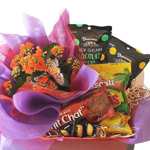 Kalanchoe plant and chocolates gift basket