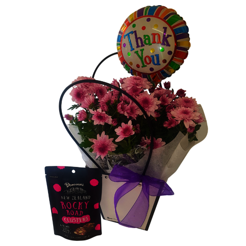 plant gift with thank you balloon and choc clusters