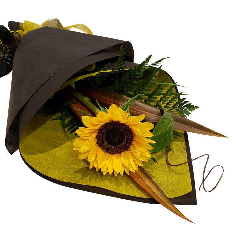 Sunflower and More single sunflower gift wrapped