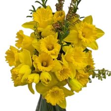 Daffodil or narcissus is March's birth flower