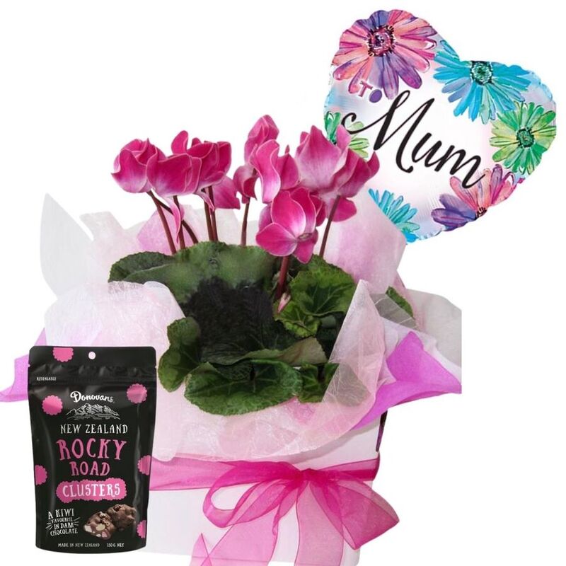 Promotion weekly special deals flowers Auckland NZ, Mother's Day Plant Bundle