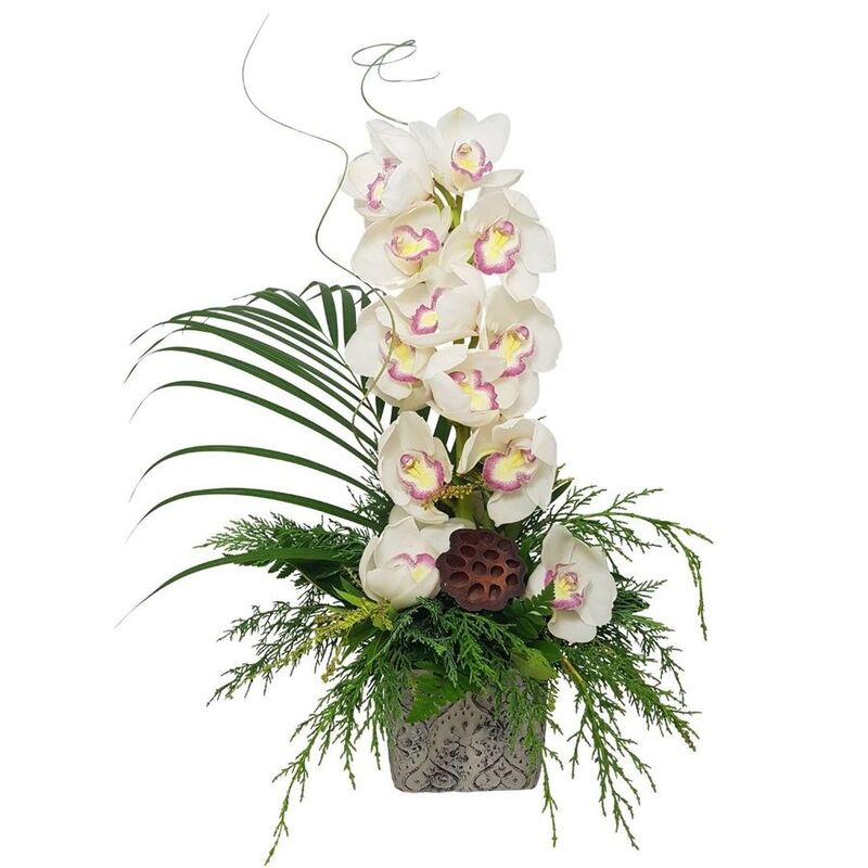 send%20orchids%20Auckland%20New%20Zealand