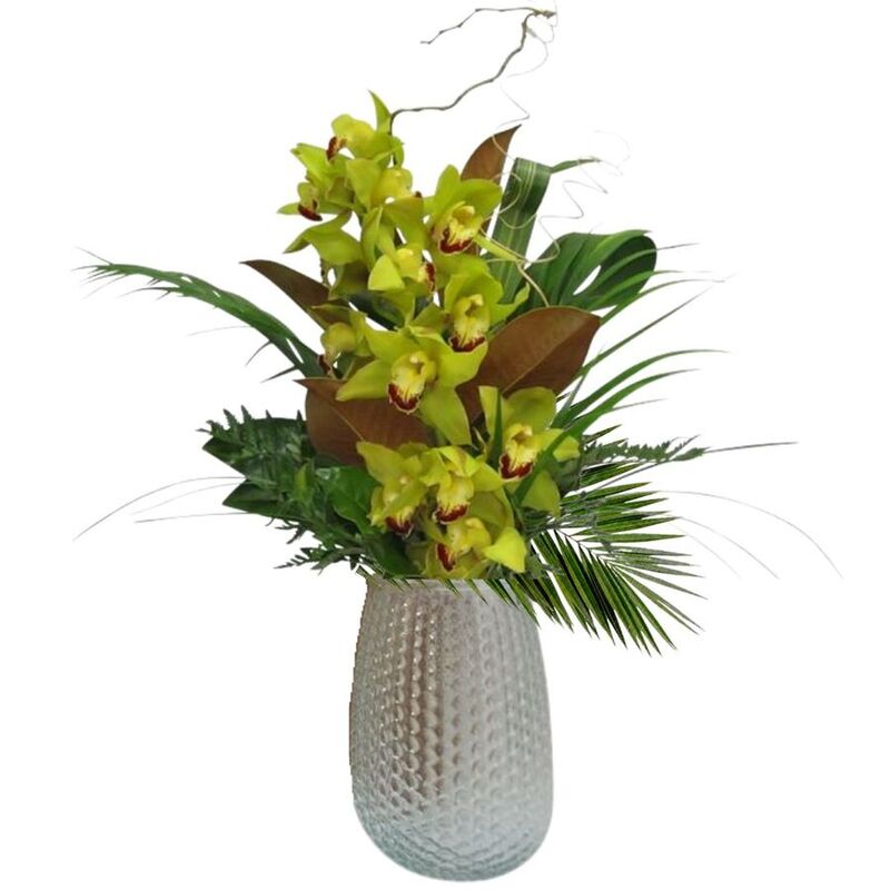 Cymbidium orchid glass vase arrangement with foliage