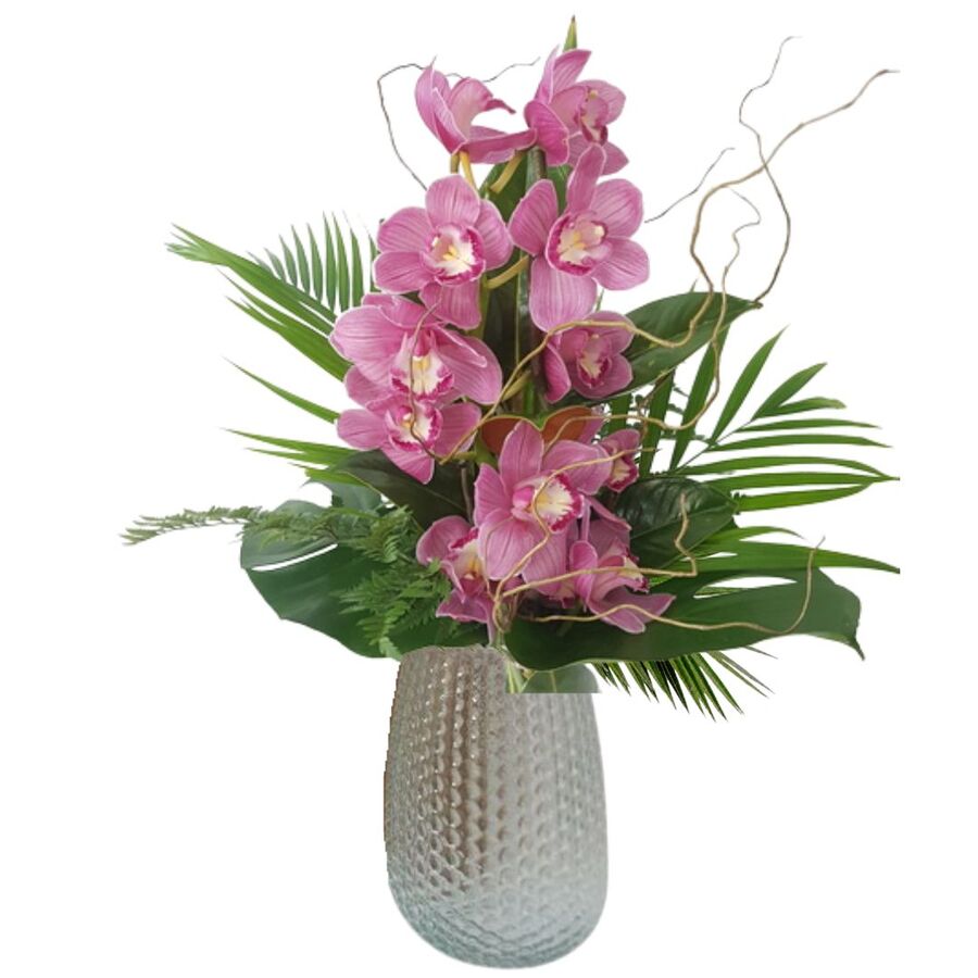 Orchid Glass Vase Arrangement Pink Cymbidium orchid in glass vase with foliage