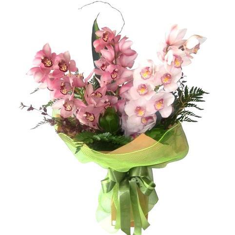 Mixed colour, cymbidium orchids bouquet