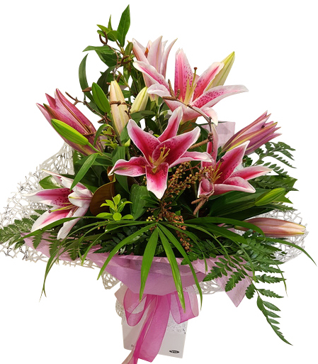 pink lilies bouquet auckland showing open lily flowers & fresh closed buds in pink wrapping and pink ribbon.