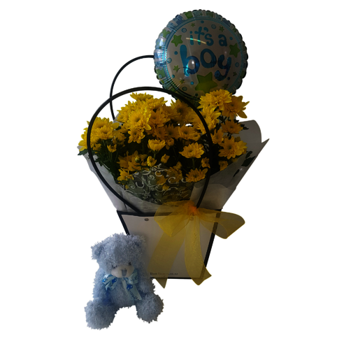 New Baby chrysanthemum Plant gift basket with Baby boy balloon and baby boy teddy bear.