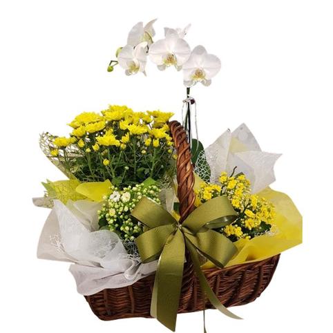 plant basket with orchids