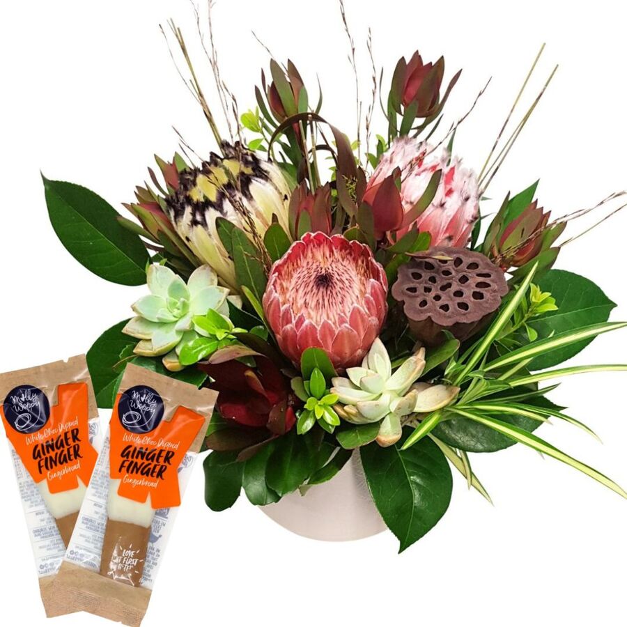 Winter Flora & Ginger Fingers  – Weekly Flowers Special Best Blooms Auckland, Winter Flora & Ginger Fingers