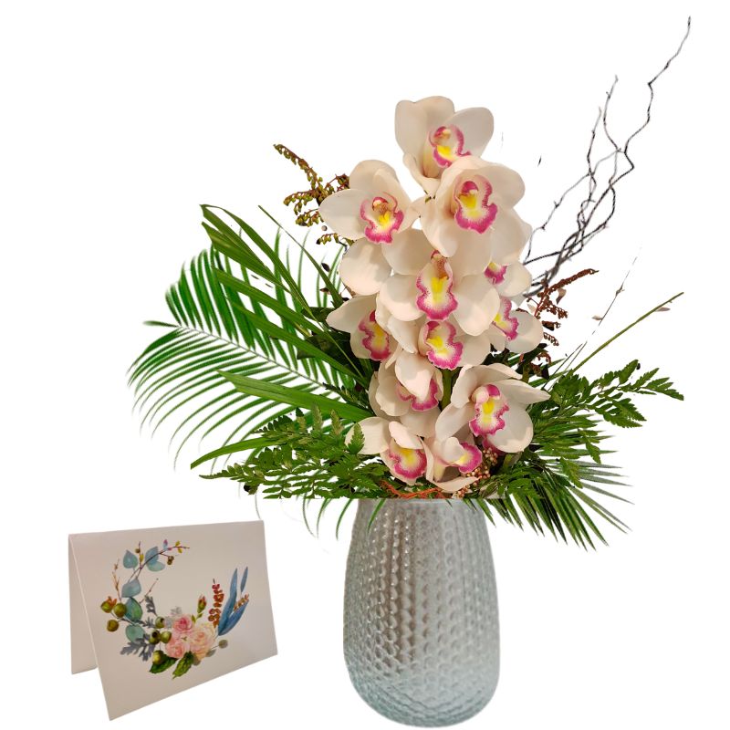Orchid Vase and Gift Card  – Weekly Flowers Special Best Blooms Auckland, Orchid Vase and Gift Card