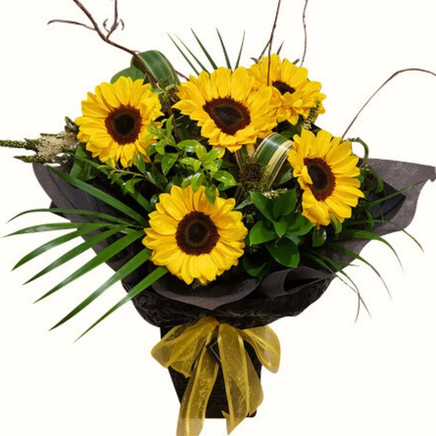 Stylish Sunflowers delivered in Auckland NZ