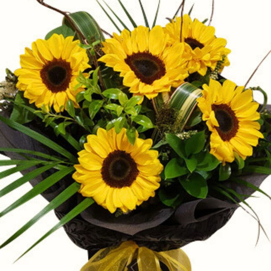 Bouquet of Bright Sunflowers in Black wrapping Auckland Delivery